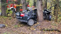 Ułamek sekundy i potężne uderzenie. Audi uderzyło w drzewo