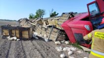 Ciężarówka z drobiem przewróciła się na DK45. Utrudnienia w ruchu