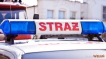 Chwile grozy w Dąbrowie. Chłopiec wpadł do studni